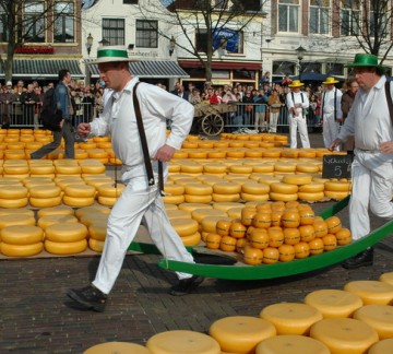 Foto grote steden.jpg