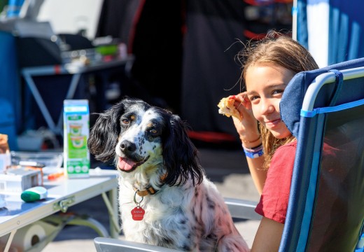 Honden toegestaan Tempelhof 1.jpg Honden toegestaan Tempelhof 1.jpg