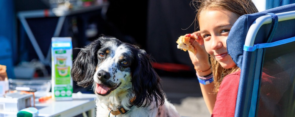 Honden toegestaan Tempelhof 1.jpg